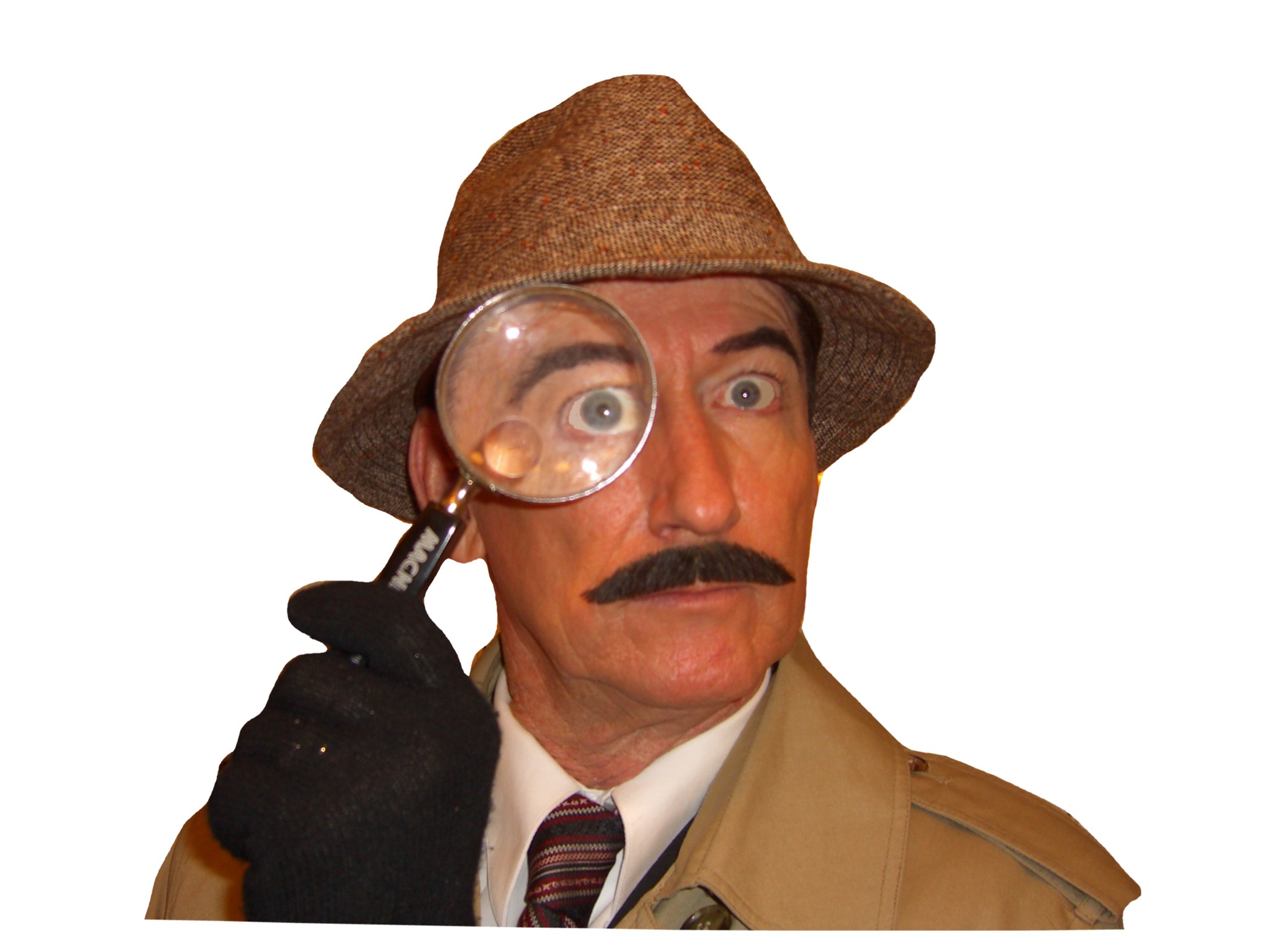 Image result for inspector clouseau